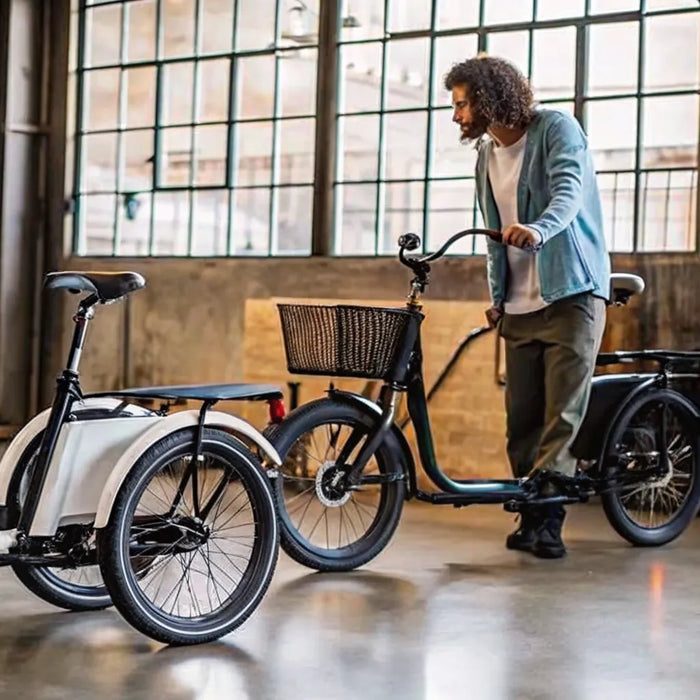 A collection of the best electric tricycles for adults, according to Reddit users.