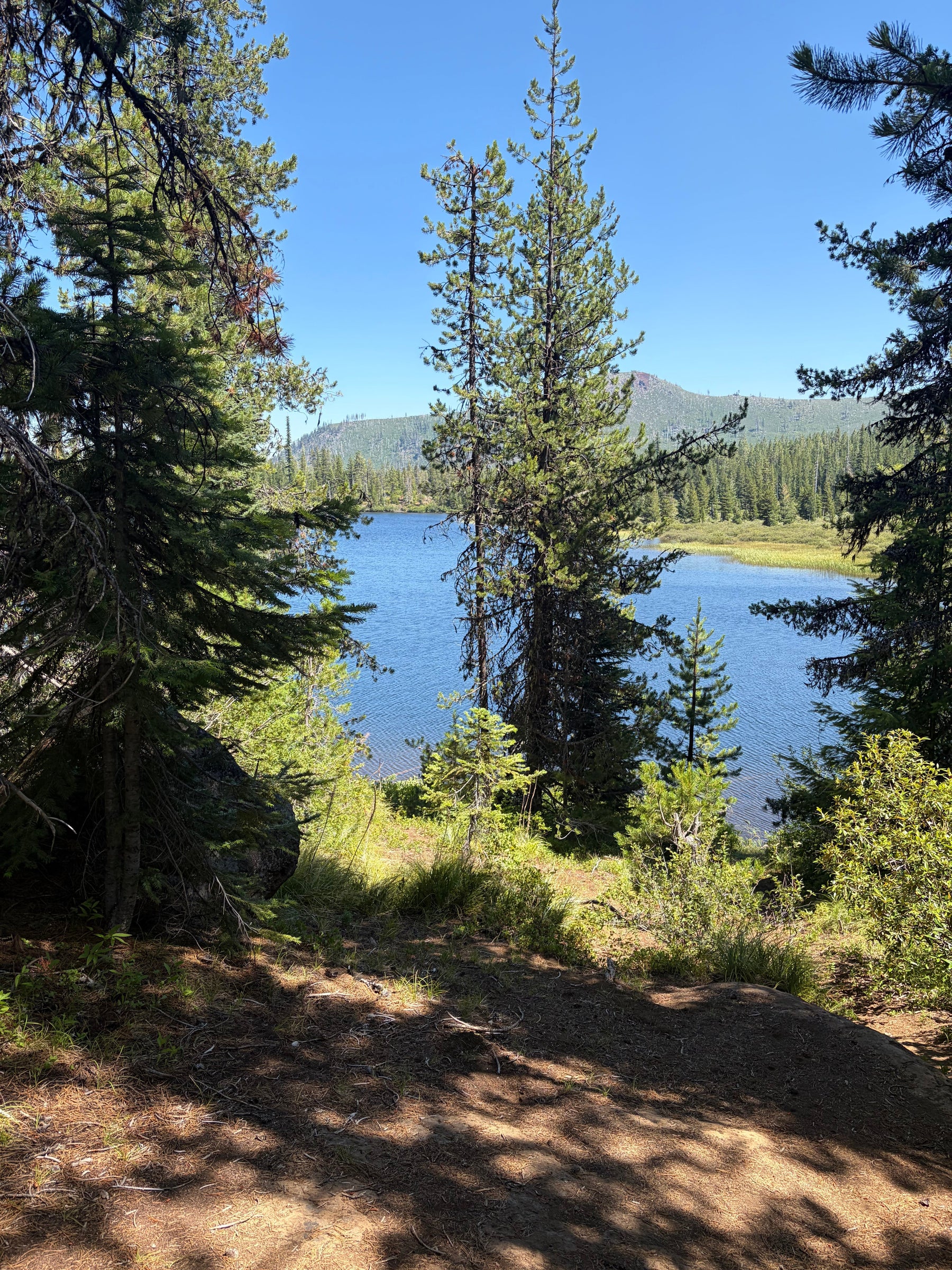 OHV and Forest Service Road Riding with the Segway Xaber 300 and Segway Xyber