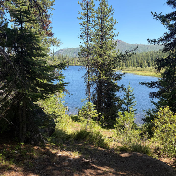 OHV and Forest Service Road Riding with the Segway Xaber 300 and Segway Xyber