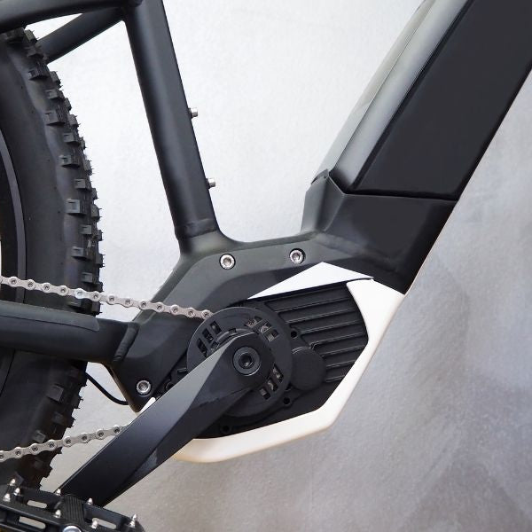 Why a Reputable Dealer Is Critical When Buying an E-Bike