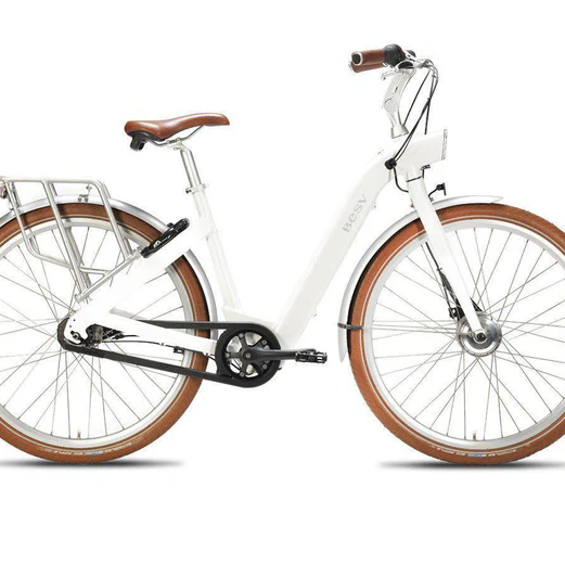 Top BESV E-Bike Models: Award-Winning Excellence in Design and Performance