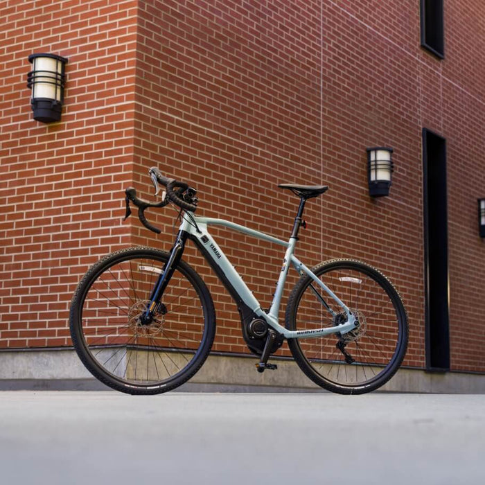 Why Illinois is Embracing Electric Bicycles: The Future of Eco-Friendly Commuting