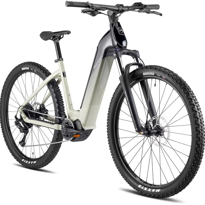 BESV and the West Coast Lifestyle: Tech Meets Transportation