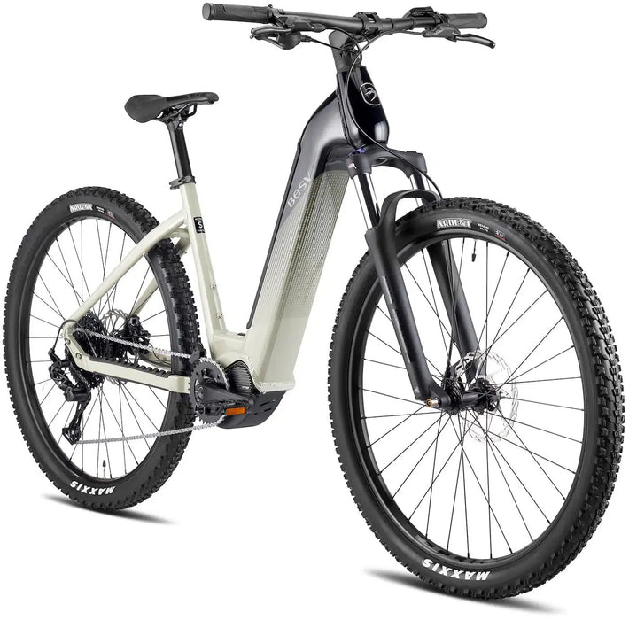 BESV and the West Coast Lifestyle: Tech Meets Transportation
