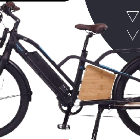 Yuba spicy curry vs. Magnum payload: pick your perfect ride-INFOGRAPHIC