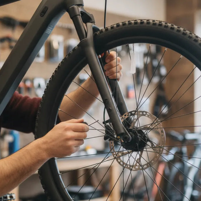 Technician inspecting the disc brake on an electric bike