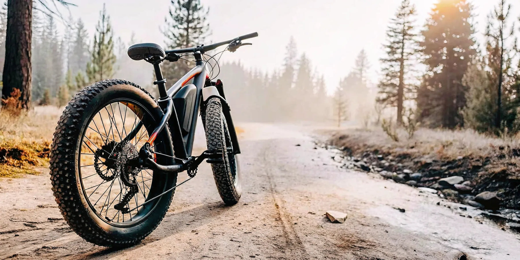 Fat tire electric bike on a Central Oregon trail