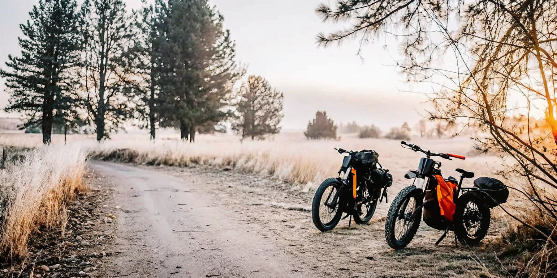 QuietKat electric bike and utility bike on a Central Oregon trail