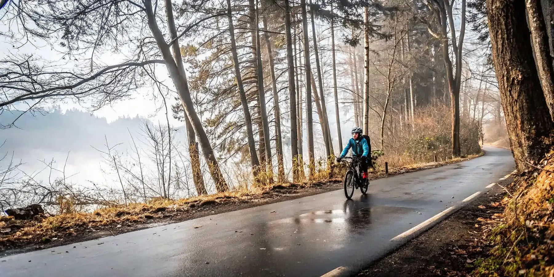 Electric bike rider in rain jacket and helmet on wet paved road through misty Pacific Northwest forest landscape