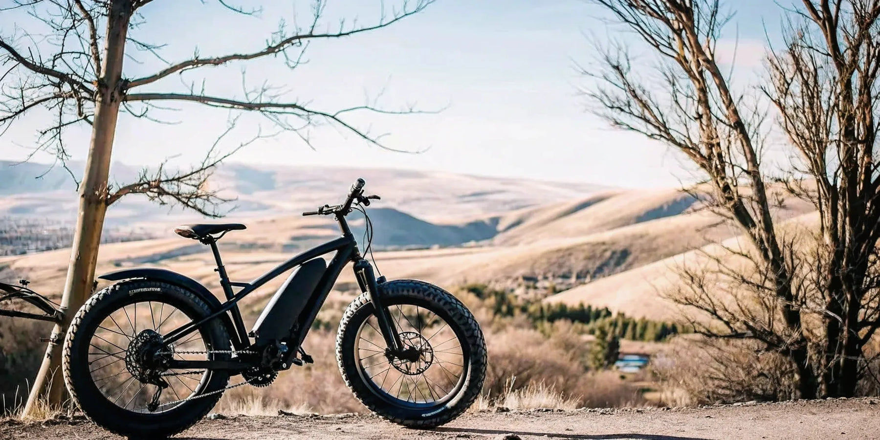 A 2000W fat tire electric bike on an off-road trail for a performance review.