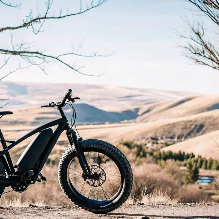 A 2000W fat tire electric bike on an off-road trail for a performance review.