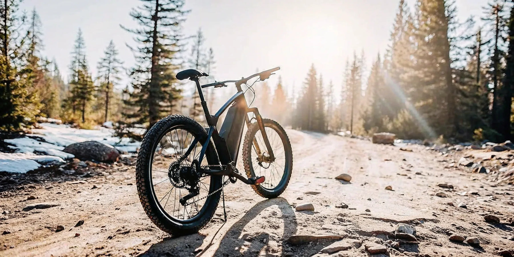 A powerful off road ebike on a rugged dirt trail in the woods.