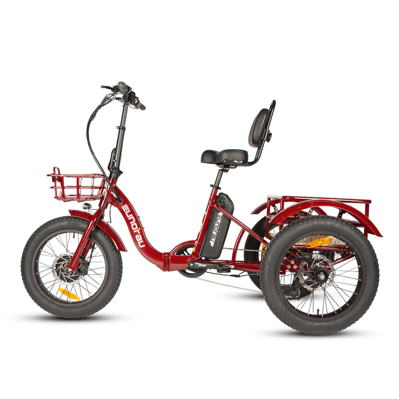 New-Trike 2.0