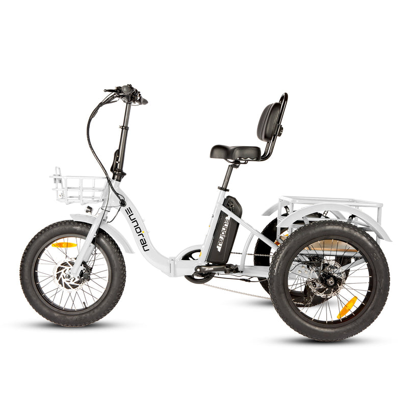 New-Trike 2.0