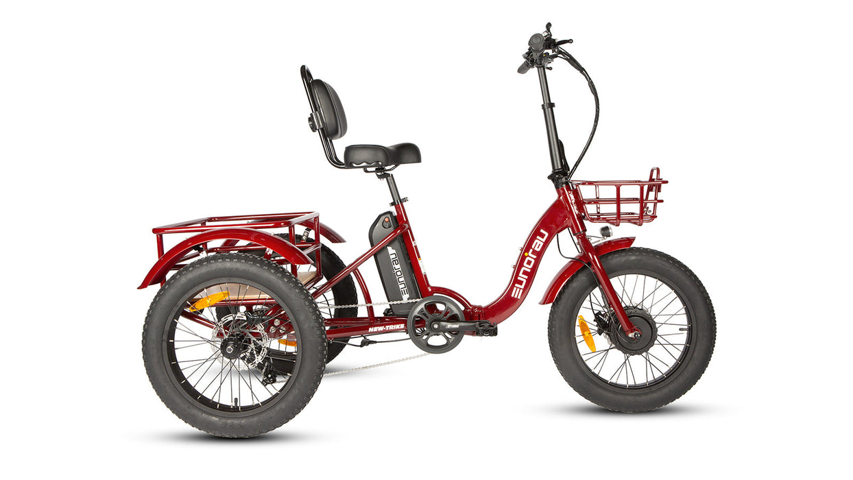 New-Trike 2.0