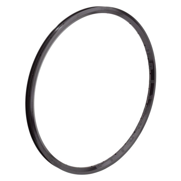 Alienation Mite G69 TCS 20in 28H Rim