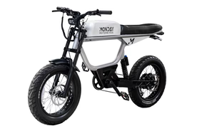 Monday Motorbikes ANZA V4