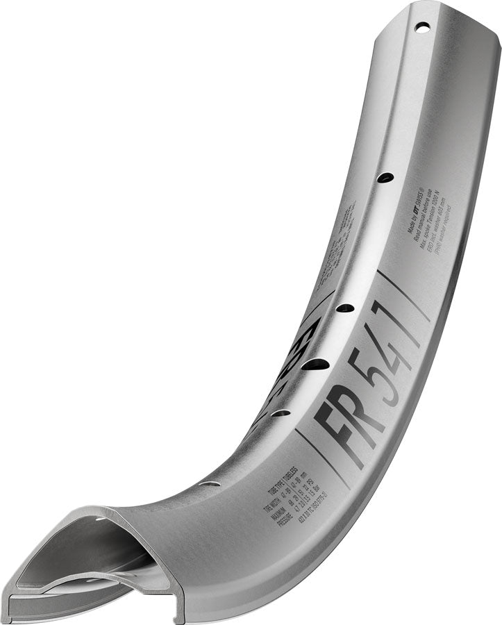 DT Swiss FR 541 Rim - 29" Disc Silver 32H