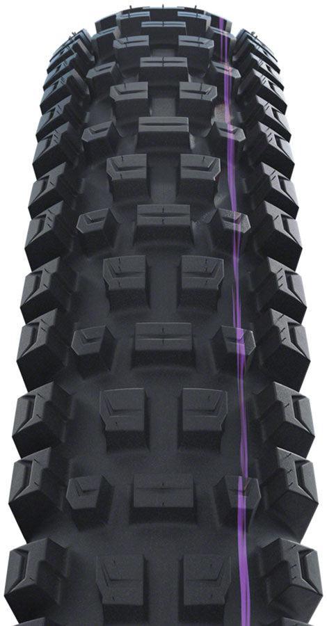 Schwalbe Albert Tire - 29 x 2.50 Tubeless Folding BLK Evolution Line Trail Pro Addix Ultra Soft Radial E-50