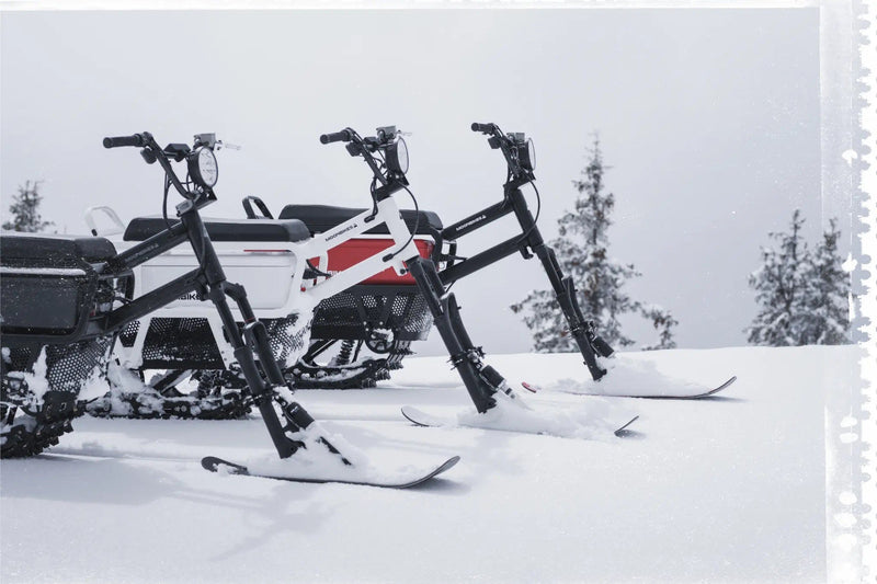 MoonBike Electric Snow Bike