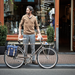 Basil Boheme Bicycle Panniers-Voltaire Cycles
