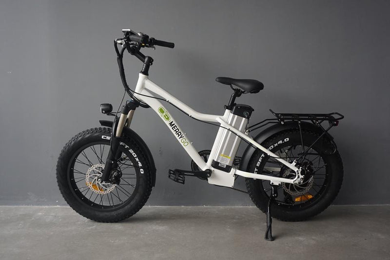 48v 12ah E-Bike Battery - Silver Fish Case-Voltaire Cycles