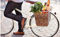 Nantucket Cisco Pannier Basket for Bicycles-Voltaire Cycles