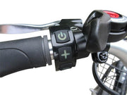 Bintelli Trio Electric Tricycle-Adult Trikes-Bintelli-Voltaire Cycles of Verona