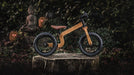 Early Rider Bonsai Wooden Balance Bike-Voltaire Cycles