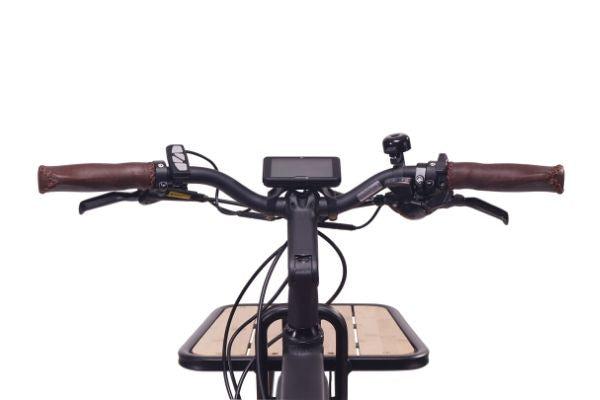 Magnum Payload Electric Cargo Bike