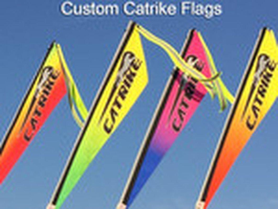 Catrike flags sale