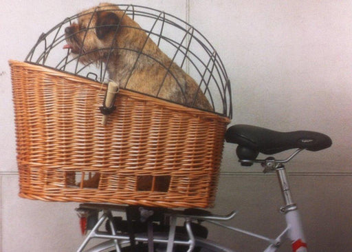 Basil Pasja Rear Pet Basket-Voltaire Cycles
