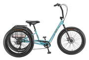 Baja Trike Conversion System-Voltaire Cycles