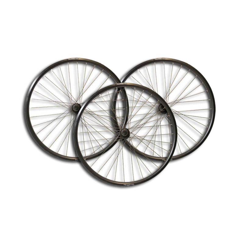 TerraTrike 24″ Wheelset – Double Wall – Black-Voltaire Cycles