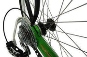 Trident Trikes T.W.I.G. Recumbent-Voltaire Cycles