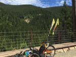 TerraCycle Flag Mount - multiple sizes to fit any frame tubing-Voltaire Cycles