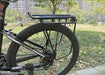 Topeak Super Tourist DX MTX Bicycle Rear Rack-Voltaire Cycles