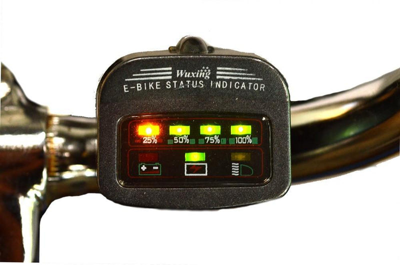LED BATTERY DISPLAY FOR E-TRIKEKIT 2014 MODEL-Voltaire Cycles